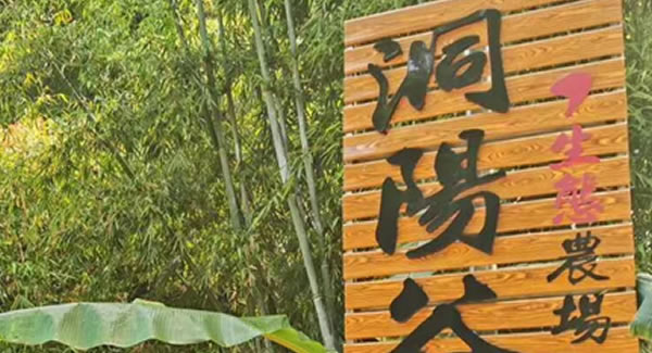 廣有合頁2019踏春拓展--經(jīng)歷中成長，成長中經(jīng)歷