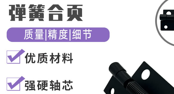 彈簧合頁(yè)，你身邊信賴的合頁(yè)|廣有五金&東莞合頁(yè)?